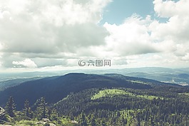 森林,樹,性質(zhì)