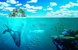 海,魚,八達通
