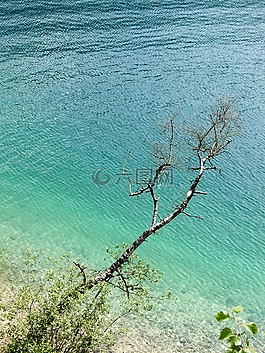 水,性質(zhì),科