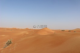 沙漠,砂,干