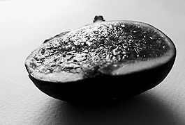无花果,食品,blackandwhite