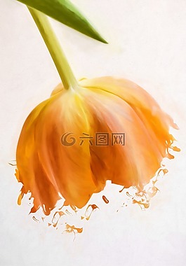 圖像,繪畫,繪