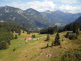 alpe,山,景觀