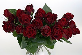 玫瑰,束玫瑰花,束玫瑰