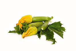 葉,健康,食品