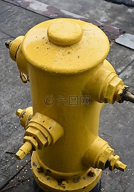 水,消防栓,黄色