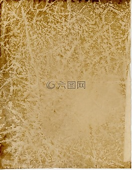 老,羊皮紙,紙