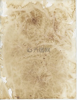 老,羊皮紙,紙