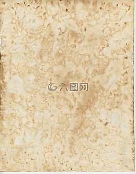 老,羊皮紙,紙