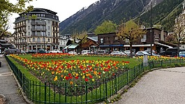 法國(guó),山,夏蒙尼