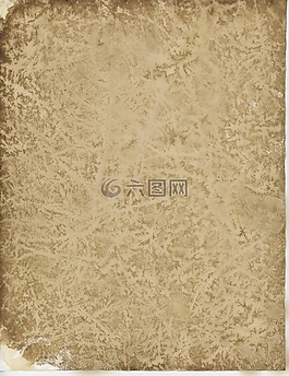 老,羊皮紙,紙