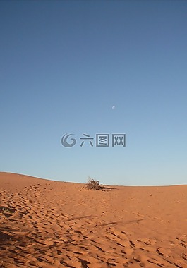 紅色的沙丘,晚上,澳大利亞