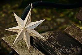 明星,一品紅,大使館