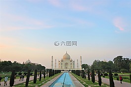 tacmahal,旅游,树