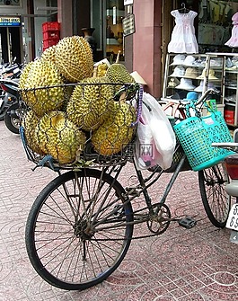 水果,菠蘿蜜,自行車