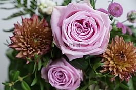 玫瑰,斯特勞斯,鮮花