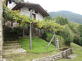 房子,山,農(nóng)民