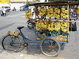香蕉,貿(mào)易,自行車