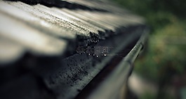 雨裝訂線,裝訂線,屋頂