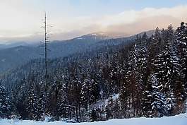 山,prehyba,景觀
