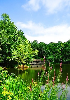行人天橋,阿拉巴馬州,湖