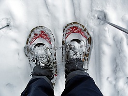 雪靴子,雪,旅游