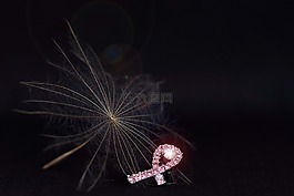 乳腺癌,粉紅色,蒲公英