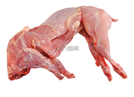 兔,整个,原