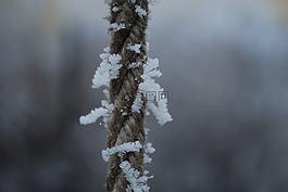 冬天,霜,積冰