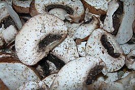 冠軍,蘑菇,吃