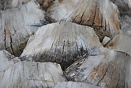 帕爾馬,質地,性質