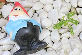 gnome,花園,幻想
