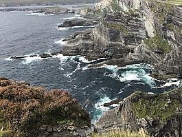 假期,海,海岸