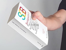 社會(huì),本書,社會(huì)網(wǎng)絡(luò)