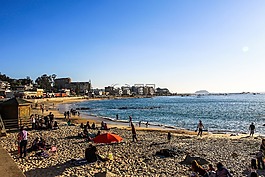 角豆樹,海,海灘