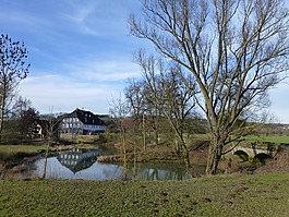 景觀,spiegeling,農(nóng)業(yè)