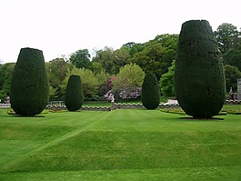 公園,維護(hù),高峰