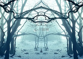 森林,樹,日志