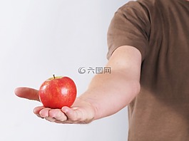 蘋果,紅色,水果