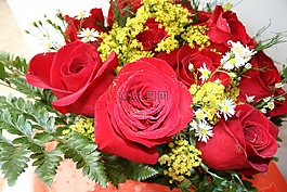 玫瑰,花束,修復(fù)