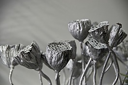 蓮藕,銀色,裝飾品