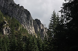 冬奥会,kościeliska谷,岩