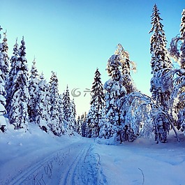 冬天,雪,自然