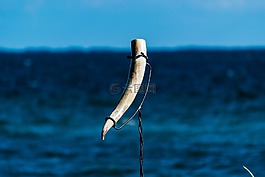 飲酒號角,北歐海盜,喝