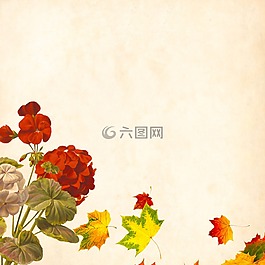 花,背景,釀酒