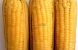 食品,肌肉,壁紙