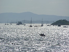 奧斯陸峽灣,向著光明,風