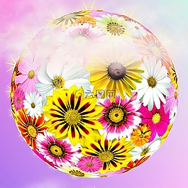 花,廠,性質(zhì)