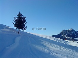 雪,滑雪,山