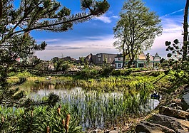 蓋爾森基興,動(dòng)物園,污水處理廠